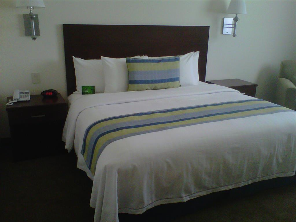 San José del Cabo Hotel Aeropuerto Los Cabos מראה חיצוני תמונה